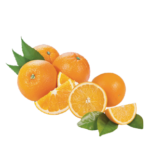 Orange Summer Burst