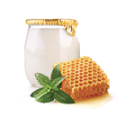 Honey Greek Yogurt