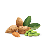 Soy Almond
